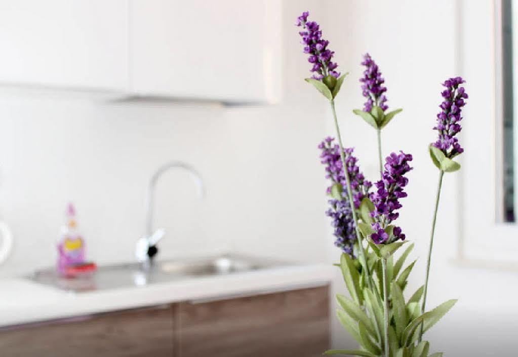 ספליט Apartment Lavanda מראה חיצוני תמונה